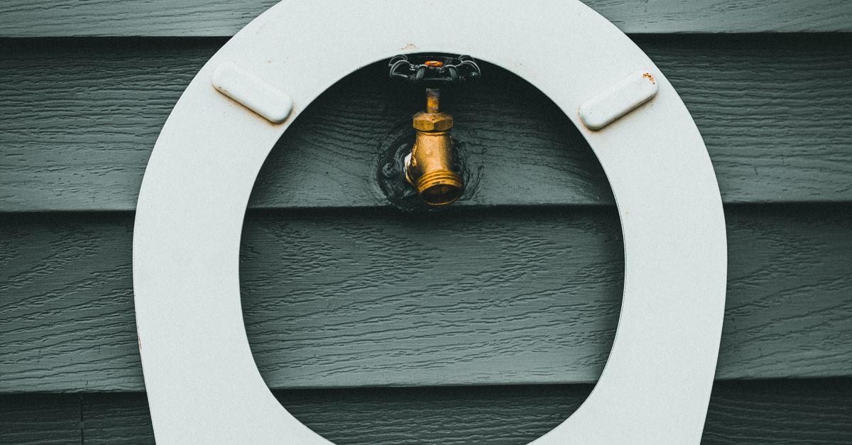 Preventing Toilet Overflows: Tips for Bathurst Homeowners